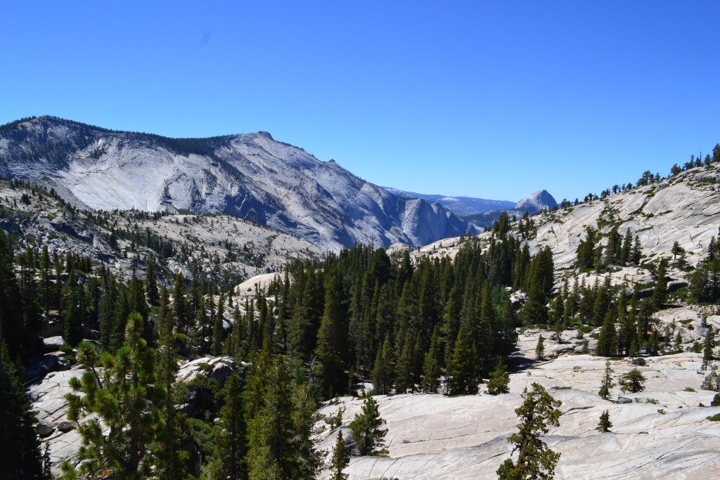 Day 19 Yosemite: il tempio di Madre Natura