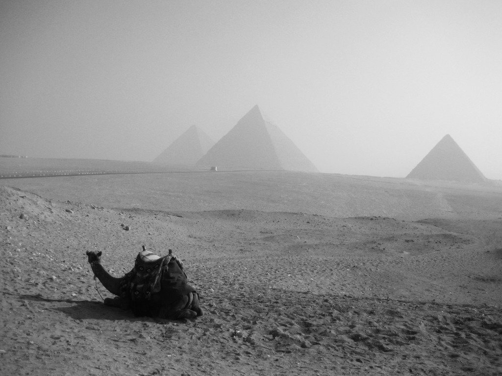 Il Cairo da “Mille e una notte”